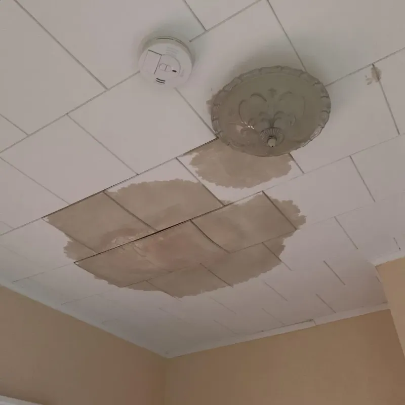 Ceiling Water Damage Repair in Four Oaks, NC