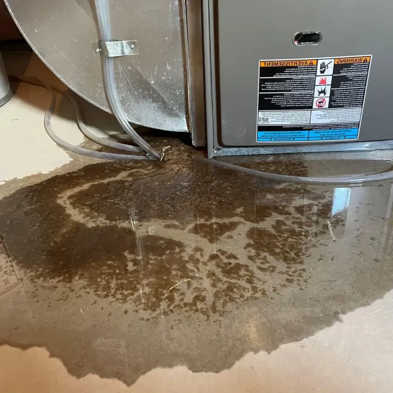 Pipe Burst and Leak Restoration in Four Oaks, NC