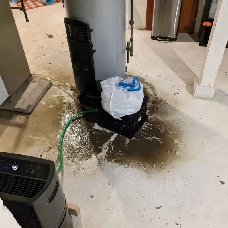 Sewage Backup Cleanup Service in Four Oaks, NC
